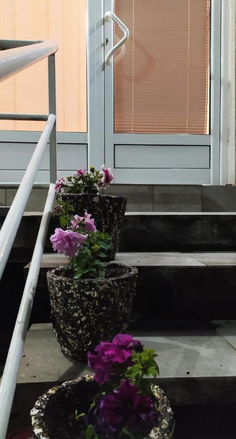 Apartman Todorovic Jagodina Dış mekan fotoğraf
